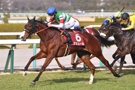 【東京新聞杯2023】予想と一週前追い切り・調教評価 未勝利マニアの競馬予想