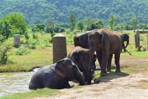 Erawan Waterfall and Elephants World Sanctuary Park