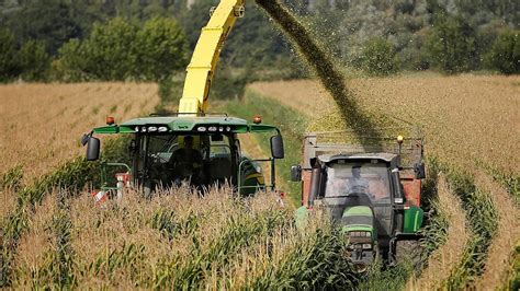 Ogm Corte Ue D Torto All Italia Stop Coltivazioni Solo Con Rischi