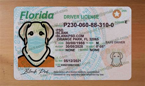 Florida Driver License Template New V2 - Blank PSD