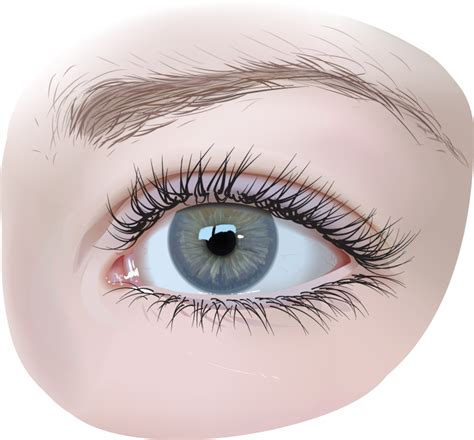 Eyes Png Images Free Download