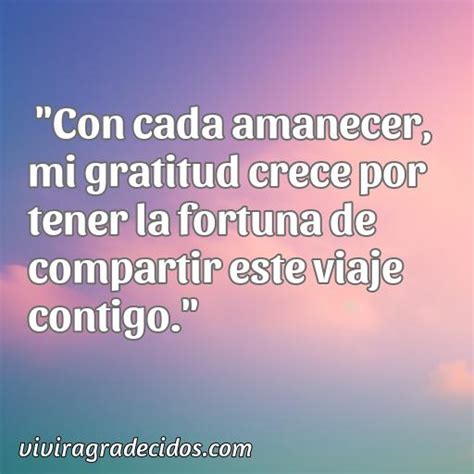 Cincuenta Mejores Frases De Agradecimiento De Mr Wonderful Vivir