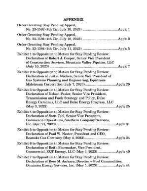 Fillable Online Appendix Order Granting Stay Pending Appeal Fax