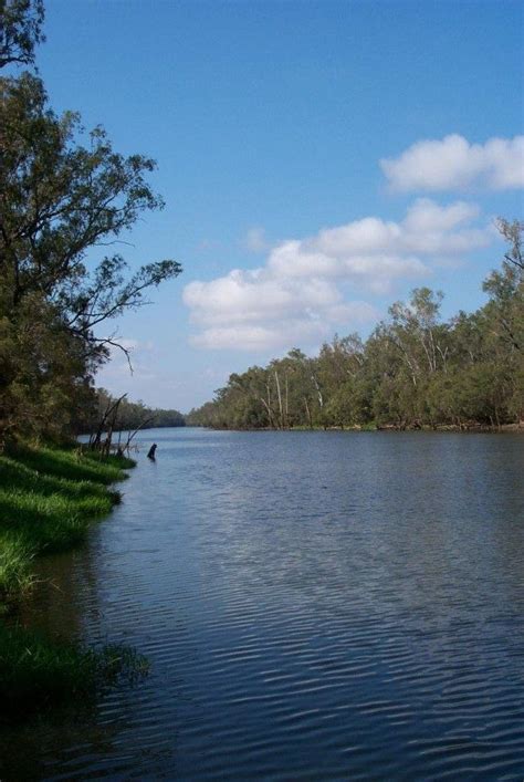 Marine Environments Waterways (Weir on Dawson River Theodore) Marine Environment, Waterway ...