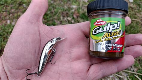 Which Fishing Lure Catches More Fish Gulp Minnow Vs Jerkbait Youtube