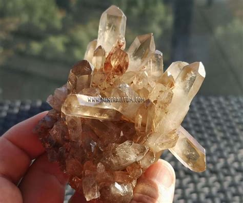 Citrine Quartz Mineralitum Exclusive Minerals Online Mineral Shop