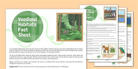 British Habitats Ks1 Fact Sheets Teacher Made Twinkl