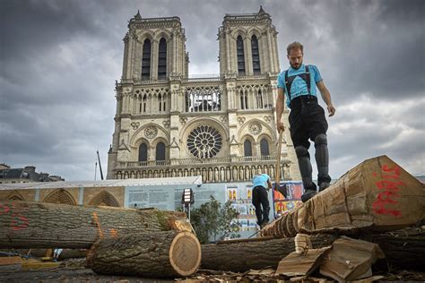 Katedra Notre Dame Odbudowywana Metodami Sprzed Ponad 800 Lat Sztuka