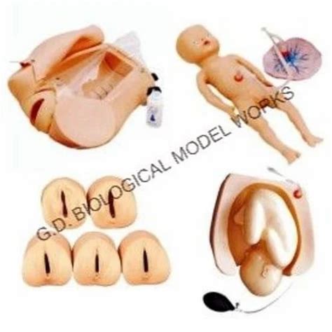 Advance Abdominal Palpation And Delivery Mechanism At Best Price In Ambala