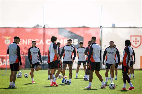 Benfica X Estoril Onde Assistir Escala Es E Arbitragemjogada