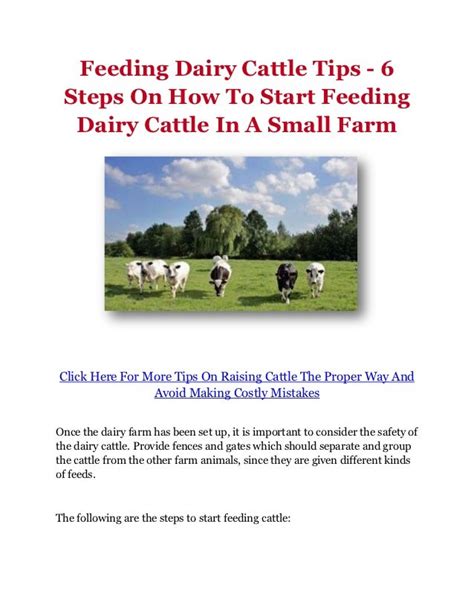 Feeding Dairy Cattle Tips - 6 Steps On How To Start Feeding Dairy ...