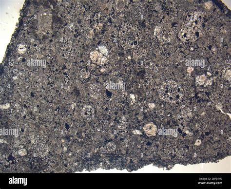 Micrograph Of Eet 900522 Meteorite Under Plane Polarized Light At 1