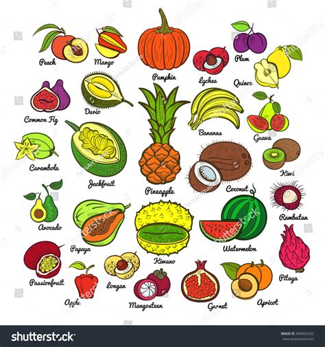 Big Fruits Collection Pineapple Bananas Pumpkin Stock Vector Royalty