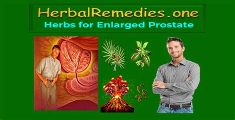 Natural Remedies for Enlarged Prostate - Herbal Remedies