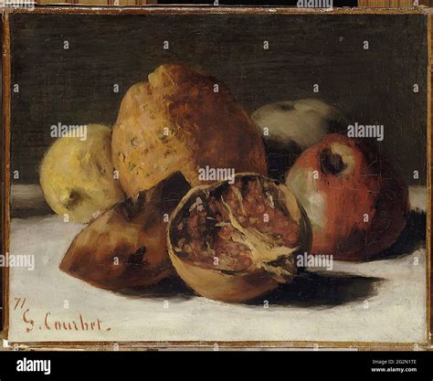 Gustave Courbet Still Life With Apples Pomegranates 1871 Stock Photo