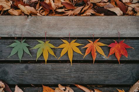 Au Fil Des Saisons Les Meilleures Activit S De Plein Air Dans Les