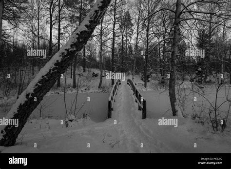 Swedish winter landscape Stock Photo - Alamy