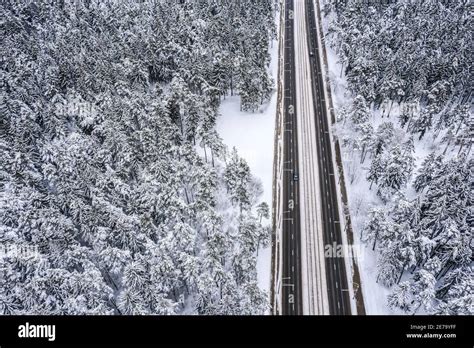 route droite traversant les magnifiques paysages forestiers enneigés