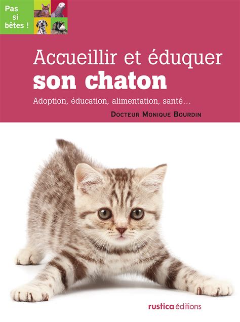 Accueillir et éduquer son chaton Fondation 30 Millions d Amis