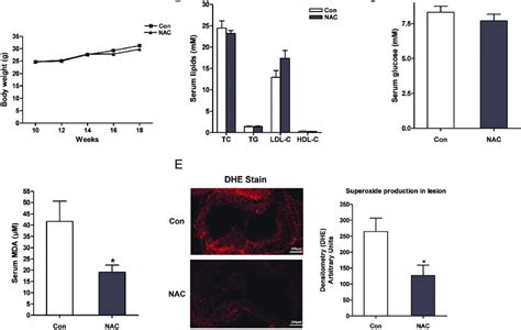 The Apoe Mice Administered Nac Displayed A Reduced Serum Mda Level