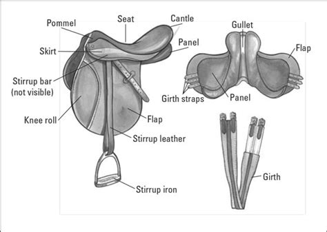 All You Ever Wanted To Know About Saddles Dummies