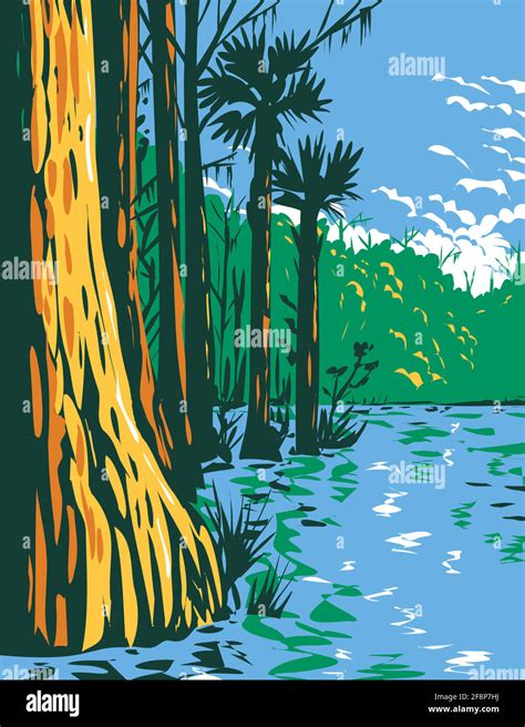 Florida State Park Landscape Stock Vector Images Alamy