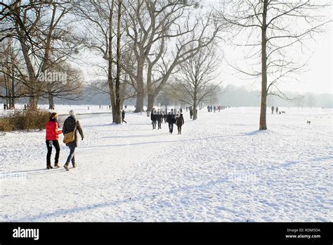 Winter snow in English Garden, Munich Stock Photo - Alamy