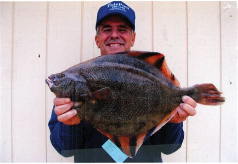 Cayucos Pier - Pier Fishing in California