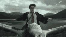 Harry Potter Buckbeak GIFs | Tenor