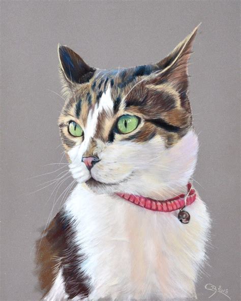 Portrait De Chat Au Pastel Cindy Barillet Peinture De Chat