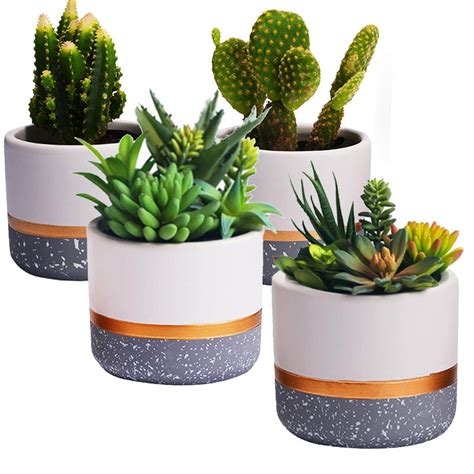 Best Flower Pots that Enhances your Indoor House