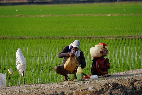 global south civil society groups   german export ban  eu