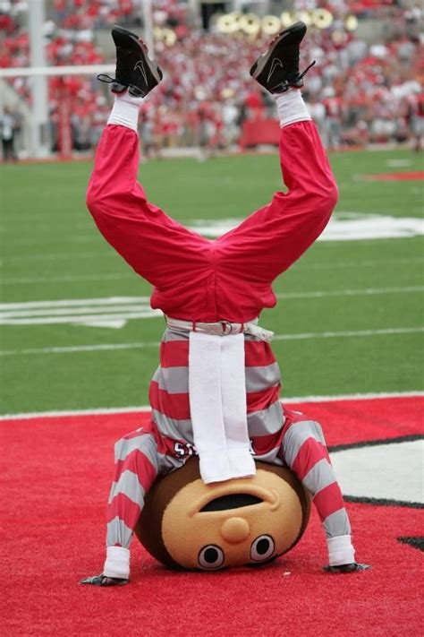 Brutus Buckeye Headstand Osu Buckeyes Pinterest Buckeyes Ohio