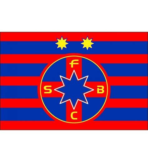 Magnet Logo Fcsb