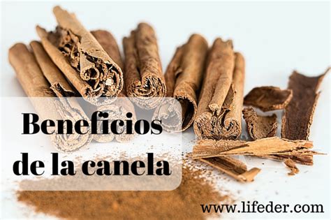 Grandes Benef Cios Para A Sa De Da Canela Nutri O