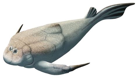 alphynix: Bothriolepis, a 45cm long (18″) placoderm fish from the Middle to Late Devonian (~387 ...