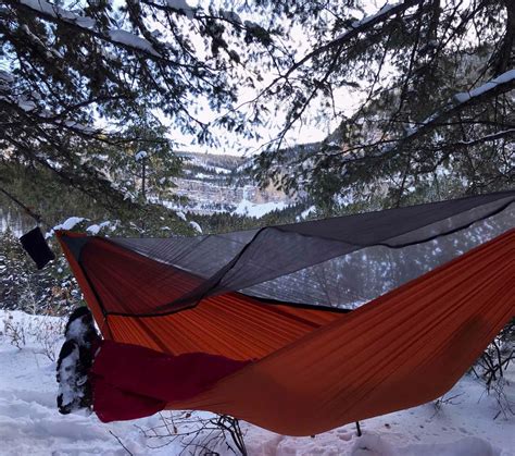 Why Camping Hammocks Are Better Than Tents Teton Hammocks