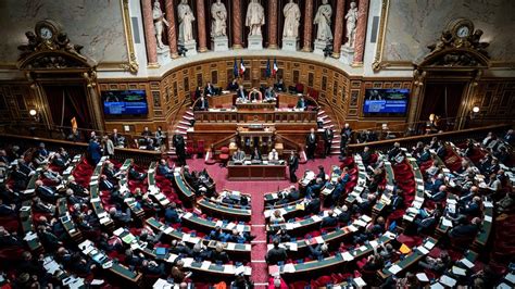 Infographies Inscription De L Ivg Dans La Constitution Comment Ont Voté Vos Députés Et