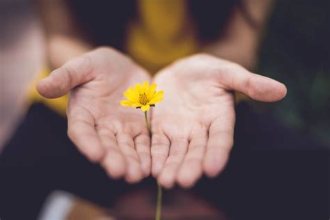 5 Contoh Mindfulness Dalam Kehidupan Sehari Hari Yang Dapat Diterapkan