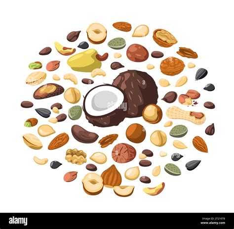 Nuts Circle Cartoon Pack Of Dried Nuts Kernel Pistachio Almond Cashew