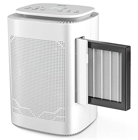 Best Dehumidifier And Air Purifier Combo For A Healthier Home