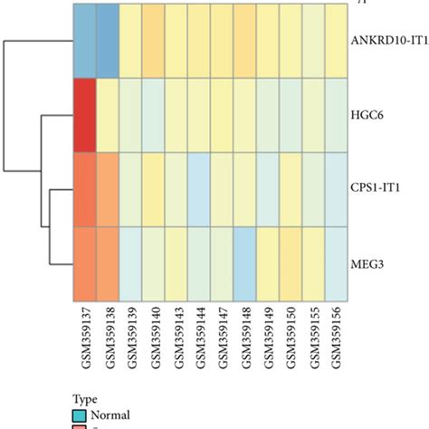 Differentially Expressed DE LncRNAs And MRNAs In Osteosarcoma And