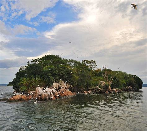 Rubondo Island National Park Safaris Met Explore Tanzania Extended