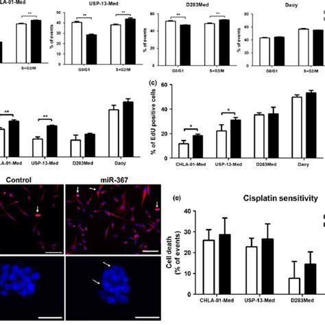 Overexpression Of MiR 367 Affects Cell Cycle And Proliferation Of