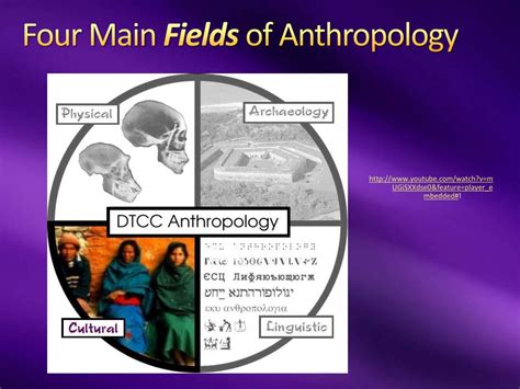 Ppt What Is Anthropology Powerpoint Presentation Free Download Id