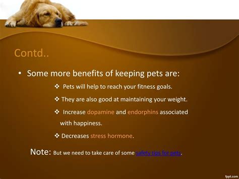 PPT - Health Benefits of Pets PowerPoint Presentation, free download ...