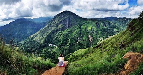 Incre Bles Vistas Desde Ella Trekking Entre Las Plantaciones De T