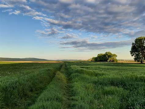 Prognoza Pogody Na Poniedzia Ek Maja Roku Ekologia Pl