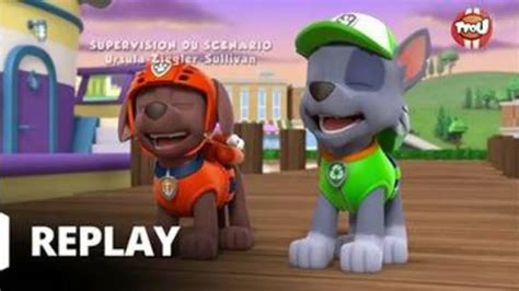 Replay Tfou Du Paw Patrol La Pat Patrouille Le Singe De