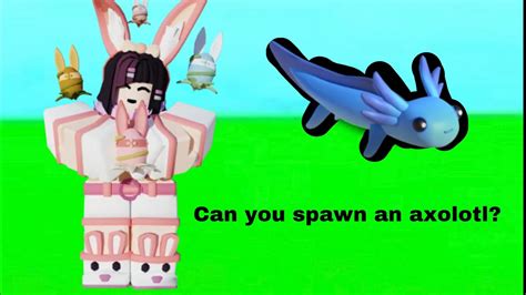 Can You Spawn In Axolotls From Axolotl Amy Bedwars Roblox Youtube